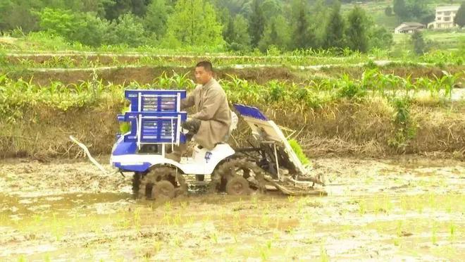 平昌推广农机服务，按下水稻栽插“加速键”