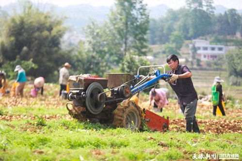 黔西农机显身手 种地省心省力，机械服务助丰收