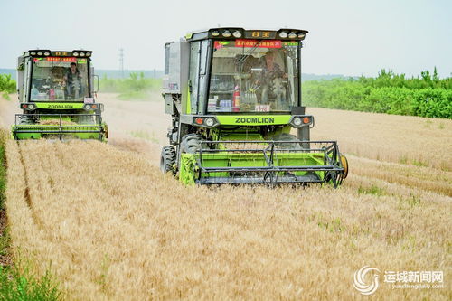 万荣创新农业托管模式 聚合社会力量，夯实现代农业根基